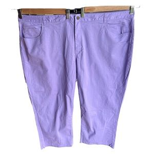 Coldwater Creek Lavender Cropped Pants Size 24
